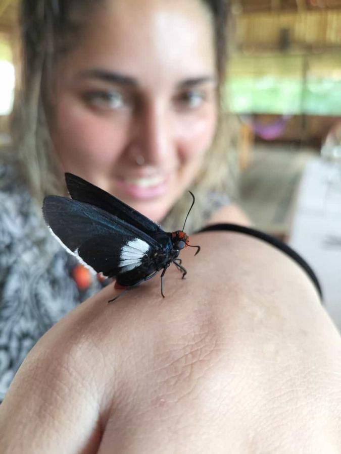 Intillama Jungle Lodge Eirl Paucarpata  Eksteriør bilde